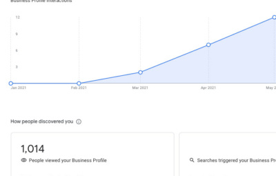 asheville google my business optimization